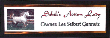 horse stall nameplate - full color with photo and frame